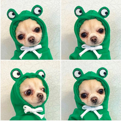 Cute Fruit Dog Clothes For Small Dogs