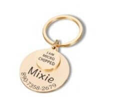 Anti-lost Engraved Pet Tag Collar Tag Pendant Keychain