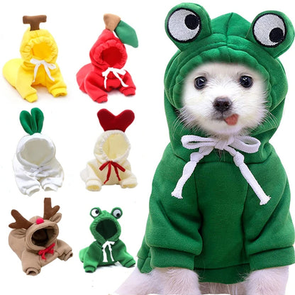 Cute Fruit Dog Clothes For Small Dogs