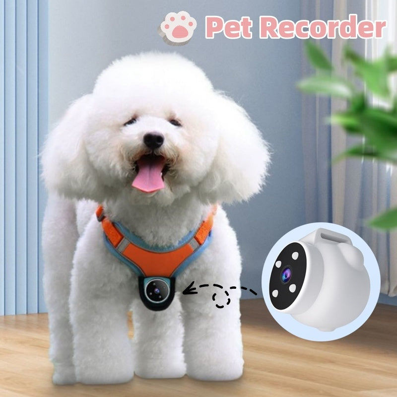 Pet Tracker Collar