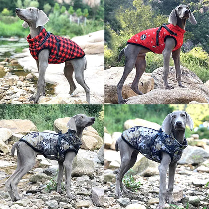 Ropa de invierno para perros